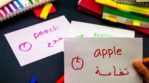 Elevate Your Communication: A Closer Look at the Premier Translation Agency in the UK